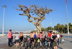 Özgecan Aslan Barış Meydanı'nda ağacın kurutulmasıyla ilgili daire başkanı ile 2 kişiye gözaltı