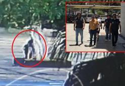 Ağacın kurutulmasında 3 şüpheli serbest, sebep 'sır'