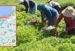 'Çay göçü' ile nüfusun 3’e katlandığı Rize’de hastanelerde Covid-19 hazırlığı