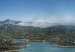 İzmir Seferihisar’da orman yangını
