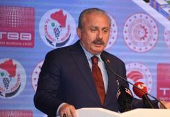 Şentop: Avrupa göçmenlere kapılarını kapattı, öldürmek dahil her türlü eylemi yaptı