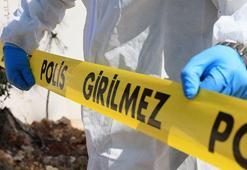 Nusaybin'de silahlı saldırı: 1 yaralı