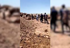 Taşların temizlendiği tarlada, insan kafatası ve kemikler bulundu