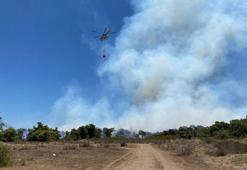 Antalya'da orman yangını; 2 saatte kontrol altına alındı