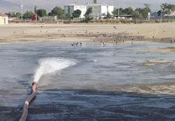 İtfaiye, kuşlar için araziye günde 3 kez su sıkıyor