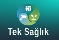 “Tüm canlıların sağlığı ve refahı için çalışıyoruz”