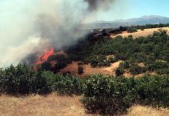 Bingöl'de 3 köyde ağaçlık alanlarda çıkan yangınlar büyümeden söndürüldü