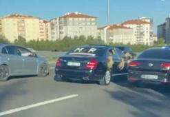 Düğün konvoyuna 'çakarlı' otomobille katılan 8 şoföre para cezası uygulandı