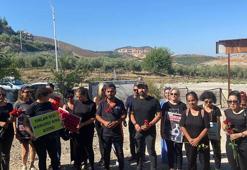 Hatay'da 5 köpeğin öldürülmesine hayvanseverlerden tepki