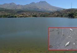 Balık ölümlerinin yaşandığı göletten alınan numuneler İzmir'e gönderildi