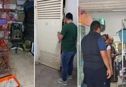 Merdiven altı evcil hayvan satışına ceza