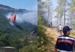 Havran'da orman yangını büyümeden söndürüldü