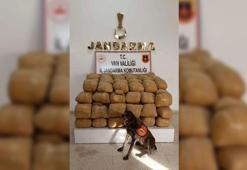 Bakan Soylu: Van'da 700 kilo toz esrar ele geçirildi