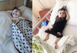 Hastanede tedavi gören Tuğba Nur bebek, koronavirüsten öldü