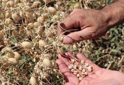 Nohuda 'nükleer' çözüm