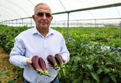 Tatil için gittiği eşinin memleketindeki patlıcanı dünyaya tanıttı