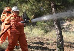 Orman yangınlarına karşı 'gönüllü' kalkanı