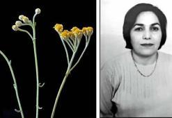 Yeni bulduğu endemik bitkiye ölen eşinin ismi verildi