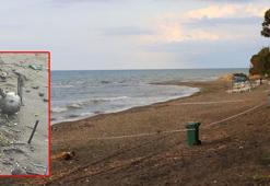 Ordu'da sahile vuran deniz mayını olduğu tahmin edilen cisim imha edildi