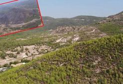 İzmir'de 5 yıl önce orman yangınında zarar gören 1200 hektar alan yeşillendi