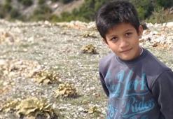 Kayısı ağacından düşen Çınar, kurtarılamadı