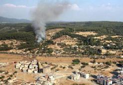 İzmir'de orman yangını