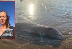 Yasemin Allen'in isyan ettiği Kilyos sahilinde çalışma