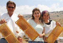 2 bin 300 rakımda bal hasadı başladı