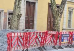 TMMOB Orman Mühendisleri Odası "112 Çınar Raporu"nu açıkladı