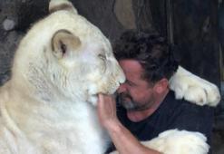 45 gün evinde baktığı Angel'ı Dünya Aslan Günü'nde de yalnız bırakmadı