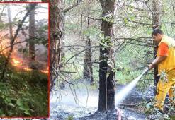 Uludağ eteklerinde orman yangını