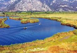 Dalyan Kanalı'nın labirent gibi sazlıkları havadan görüntülendi