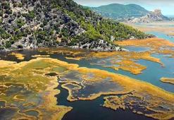 Dalyan Kanalı'nın labirent gibi sazlıkları havadan görüntülendi