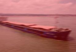 MSB: Ukrayna'dan mısır ve ayçiçeği tohumu yüklü 2 gemi hareket etti