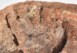 8000 years old fingerprints found in Ulucak Mound in Izmir