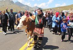 Ovit Yaylası'nda festival heyecanı, yayla göçü ile başladı