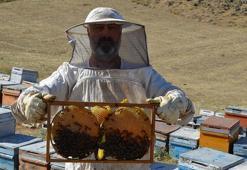 Süphan Dağı'nın 2 bin 300 rakımında bal üretimi