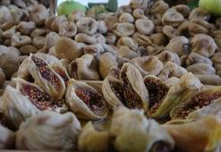 Aydın'ın kuru incirinde 75 bin ton rekolte beklentisi