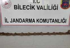 Yılan derisi üzerine Arapça harflerle işlenmiş eserle yakalandı