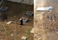 Esenler'de mahalleli ve polisi alarma geçiren ilginç görüntü