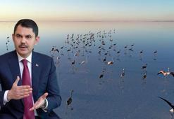 Bakan Kurum: Flamingolar kurtuldu, göçe hazırlanıyor