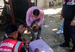 İş yerinde kafeste tutulan maymun çocuğun elini ısırdı