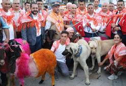 8 asırdır süren gelenek öncesi renkli kortej yürüyüşü