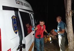 Silahını temizlerken kazara babaannesini vurdu