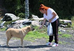 Almanya'dan geldiği Zonguldak'ta 'can dostları' için kampanya düzenledi