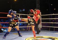 Muaythai Süper Ligi müsabakaları, Alanya'da yapıldı