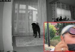 Tuzla'da hostese satırlı eski sevgili dehşeti