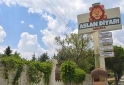 Mahalle arası hayvanat bahçesi için kapatma kararı