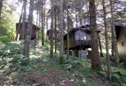 Gölcük Tabiat Parkı'nda 7 milyon TL harcanan evler atıl kaldı