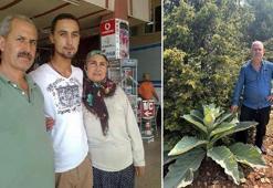 Şehit babası domuzu kovalamak için dama çıkarken düşürdüğü tabancanın ateş almasıyla öldü